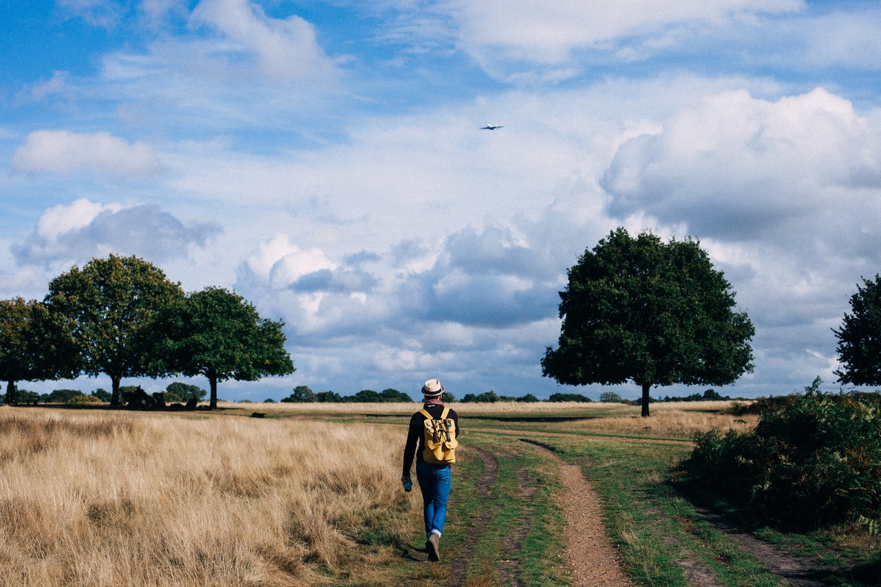 Dit is waarom wandelen zo gezond is